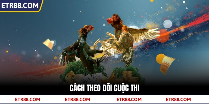 Cách theo dõi cuộc thi 