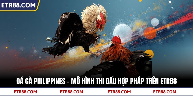 Đá Gà Philippines - Mô Hình Thi Đấu Hợp Pháp Trên TR88