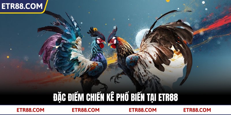  Đặc điểm chiến kê phổ biến tại TR88