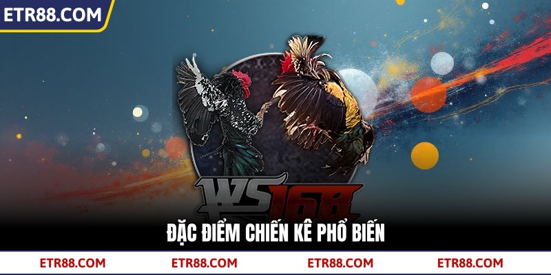  Đặc điểm chiến kê phổ biến 