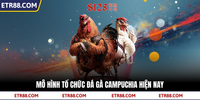  Mô hình tổ chức đá gà Campuchia hiện nay